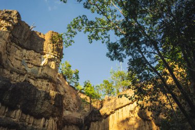 seyahat ve insanlar tropikal ormanda dağ ve kaya ile aktivite kavramı
