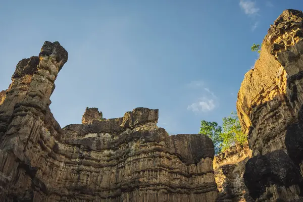 seyahat ve insanlar tropikal ormanda dağ ve kaya ile aktivite kavramı