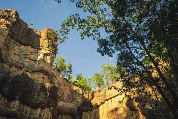 seyahat ve insanlar tropikal ormanda dağ ve kaya ile aktivite kavramı