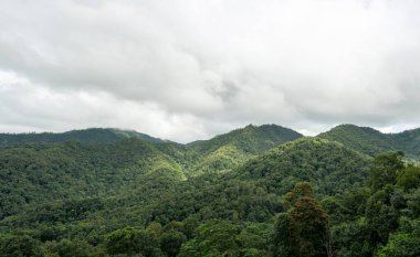 Yağmur mevsiminde bulutlu gökyüzü olan dağ ve tropikal orman