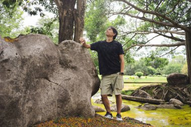 Yaz mevsiminde parkta ağaçla sağlık konsepti