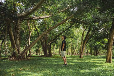 Yaz mevsiminde parkta ağaçla sağlık konsepti