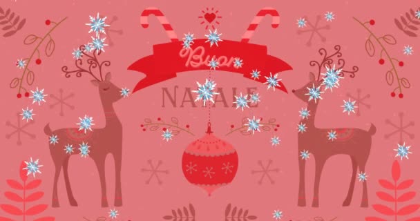 在红色背景上的丁质文字上的降雪动画 圣诞节 传统和庆祝概念数码视频制作 — 图库视频影像