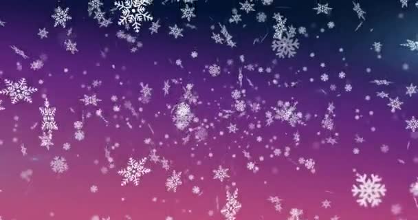 Animering Snöflingor Över Violett Strukturerad Bakgrund Jul Tradition Vinter Och — Stockvideo
