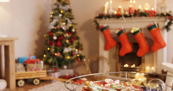 Animation Spots Sur Les Décorations Noël Les Biscuits Noël Tradition — Video