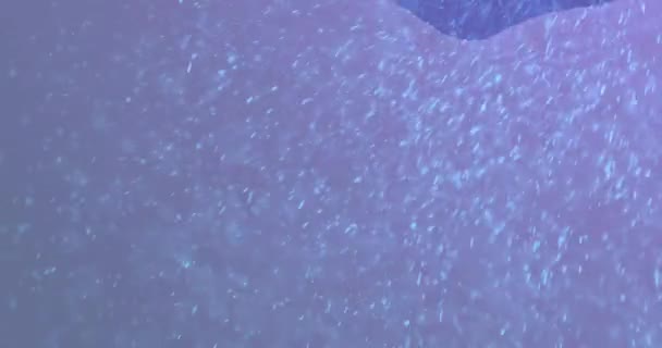 Анімація Зимових Пейзажів Темно Синьому Фоні Різдво Традиції Концепція Святкування — стокове відео