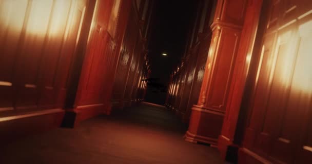 在可怕的狭窄走廊上飞行的蝙蝠的动画 数字视频概念之间的恐怖 恐惧和隔阂 — 图库视频影像