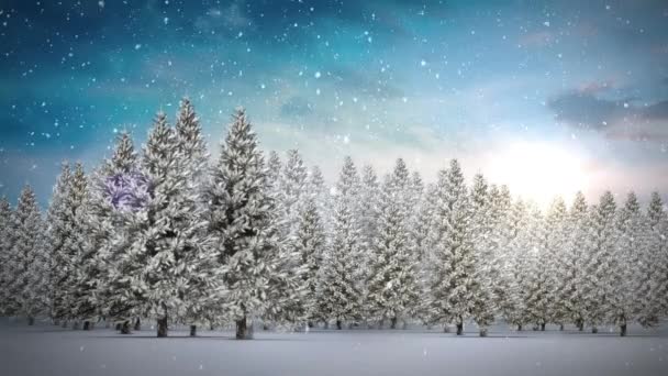 圣诞节时 冷杉树上飘雪的动画 圣诞节 传统和庆祝概念数字制作的视频 — 图库视频影像