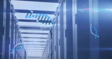 Bilgisayar sunucuları üzerinde DNA iplikçiklerinin dönüşünün ve veri işlemesinin animasyonu. Küresel bilim, veri işleme ve bağlantılar konsepti dijital olarak oluşturulmuş video.