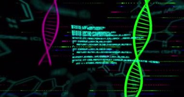 DNA iplikçiklerinin kimyasal yapıların üzerinde işlenen verilerle canlandırılması. Küresel bilim, veri işleme, bağlantılar ve ağlar konsepti dijital olarak oluşturulmuş video.
