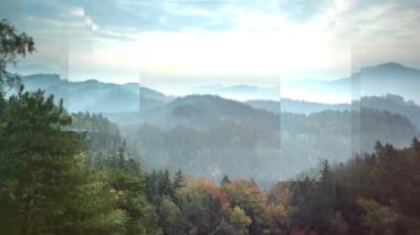 Dağ aralığı 4k olan güzel ağacın dijital videosu.