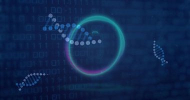 İkili kodlama üzerinde veri işleme ile birlikte DNA iplikçiklerinin animasyonu. Küresel bilim, veri işleme, bağlantılar ve ağlar konsepti dijital olarak oluşturulmuş video.