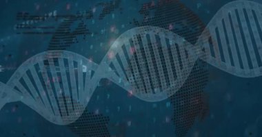 DNA iplikçiklerinin dünya ve veri işleme üzerinde dönmesi. Küresel bilim, veri işleme ve bağlantılar konsepti dijital olarak oluşturulmuş video.