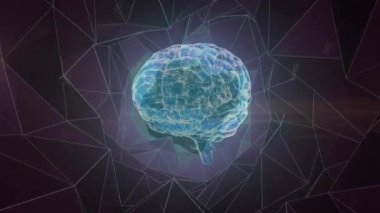 İnsan beyninin dönmesi ve bağlantı ağıyla veri işleme animasyonu. Küresel bilim, veri işleme ve bağlantılar konsepti dijital olarak oluşturulmuş video.