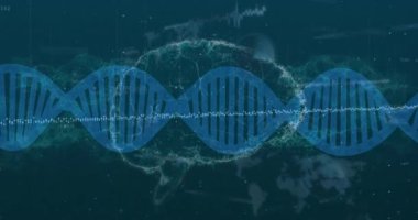 İnsan beyni ve veri işleme üzerinde dönen DNA dizisinin animasyonu. Küresel bilim, veri işleme ve bağlantılar konsepti dijital olarak oluşturulmuş video.