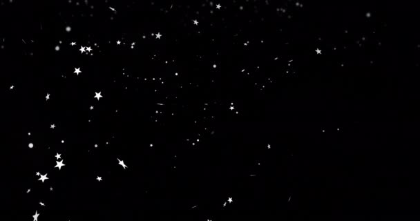 Animacja Śniegu Gwiazd Czarnym Tle Boże Narodzenie Tradycja Zima Uroczystości — Wideo stockowe