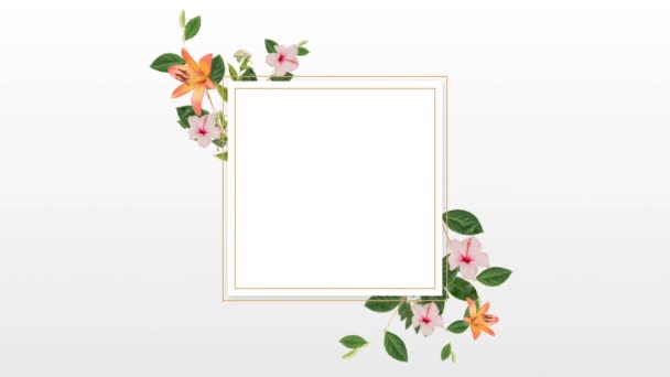 Cornice Bianca Con Fiore Sfondo Bianco — Video Stock