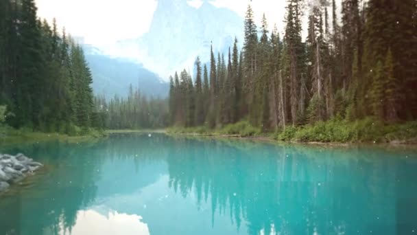 数码生成的美丽河流和树木的视频4K — 图库视频影像