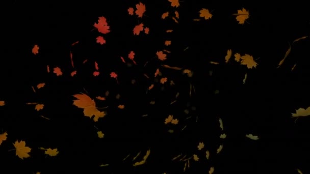 Digitally Generated Falling Autumn Leaf Black Background — Stock Video