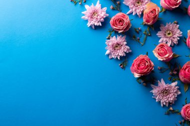 Mavi arka planda güllerin kompozisyonu. Sevgililer Günü, kutlama ve kopyalama alanı, dijital kompozit resim.