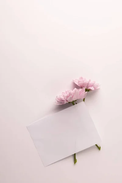 Samenstelling Van Bloemen Enveloppe Witte Achtergrond Valentijnsdag Feest Kopieerruimte Digitaal — Stockfoto