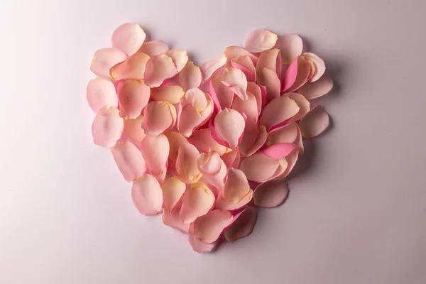 Beyaz Arka Planda Taç Yapraklarının Kalp Kompozisyonu Sevgililer Günü Kutlama — Stok fotoğraf