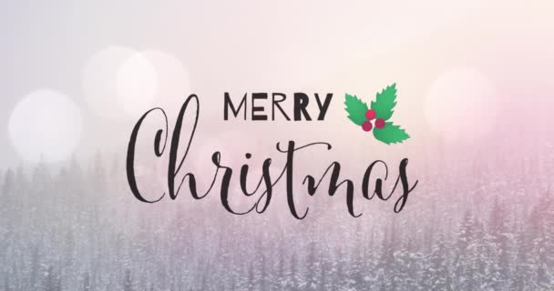 Işık Kış Manzarasına Karşı Mutlu Noel Afişleri Ökseotu Ikonu Noel — Stok video