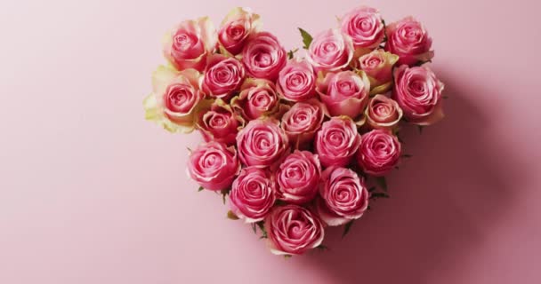 ピンクの背景にピンクのバラのハート型の花束のオーバーヘッドビデオ ロマンス バレンタインデー お祝いと伝統の概念 — ストック動画
