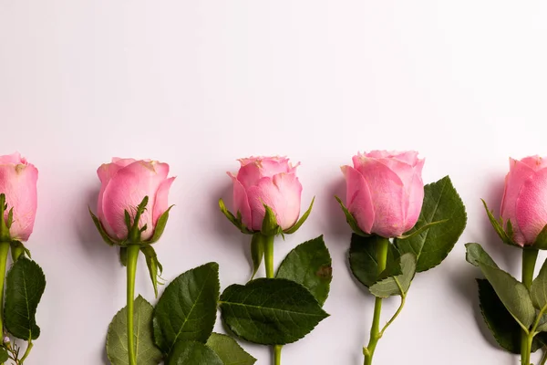 Složení Růží Bílém Pozadí Valentýn Oslavy Kopírovací Prostor Digitální Kompozitní — Stock fotografie