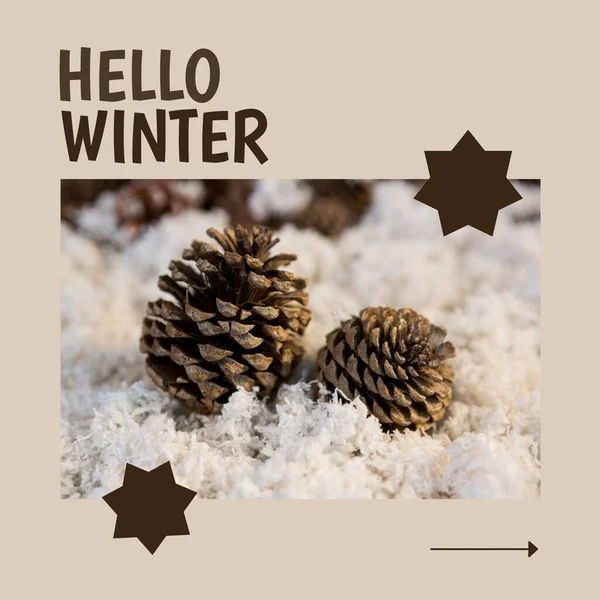 灰色背景上有松果的正方形的欢迎冬季文字图像 自然运动 — 图库照片