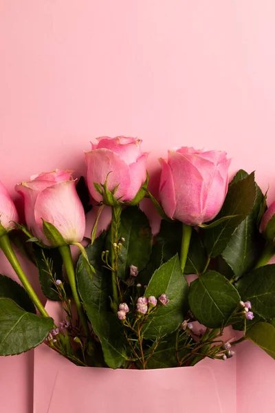 분홍색 배경에는 장미가 그려져 발렌틴 축하하고 복사하는 디지털 이미지 — 스톡 사진