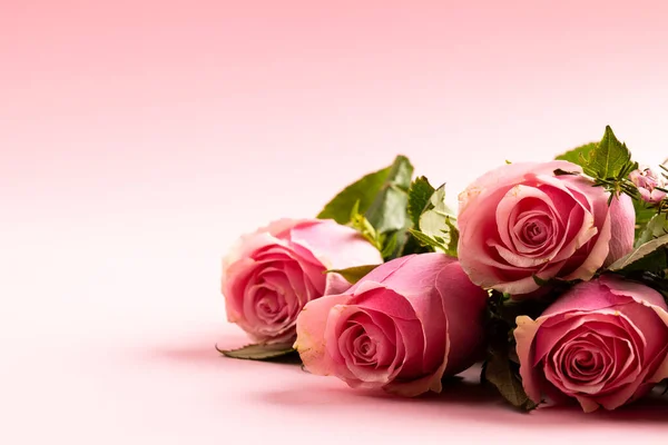 배경에는 장미의 구도가 발렌틴 축하하고 복사하는 디지털 이미지 — 스톡 사진