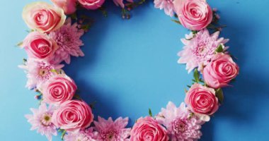 Üzerinde pembe güllerin ve kasımpatıların olduğu mavi arka planda fotokopi alanı olan bir çelenk videosu var. Aşk, aşk, sevgililer günü, bahar, kutlama ve gelenek.