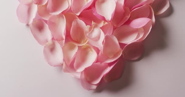 Overhead Video Heart Shape Pink Rose Petals White Background Romance — Stock Video