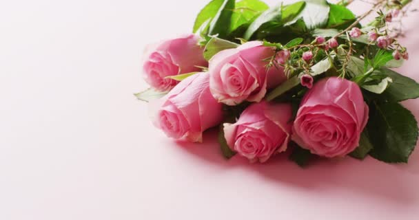 コピースペース付きの白い背景にピンクのバラと葉の束のビデオ ロマンス バレンタインデー お祝いと伝統の概念 — ストック動画