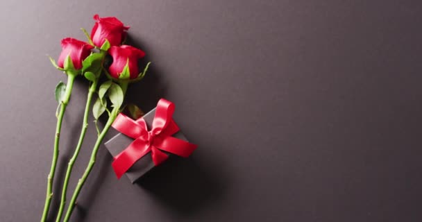 Video Tulpini Flori Trandafir Roșu Cutie Cadou Fundal Gri Închis — Videoclip de stoc