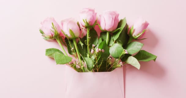 Видео Группы Розовых Роз Розовом Конверте Розовом Фоне Копировальным Пространством — стоковое видео