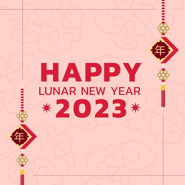 Composition of happy lunar new year text over decorations on pink background. Chinese new year, tradition and celebration concept digitally generated image.