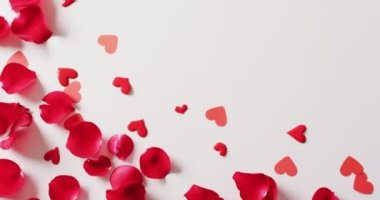 Kırmızı gül yaprakları ve kırmızı kalp konfetisinin beyaz arka planda fotokopi alanı olan videosu. Aşk, aşk, sevgililer günü, kutlama ve gelenek konsepti.
