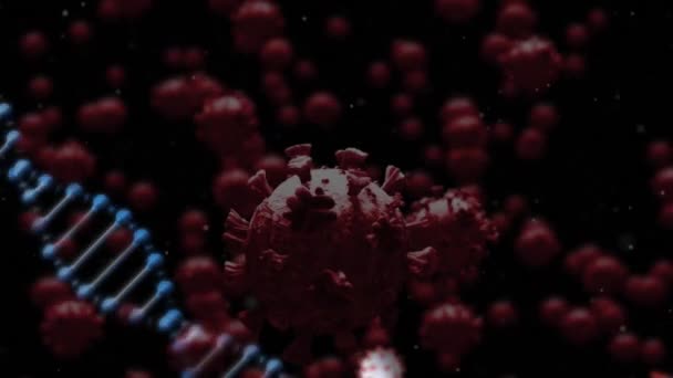 Animation Von Viruszellen Über Dem Dna Strang Globales Pandemie Und — Stockvideo