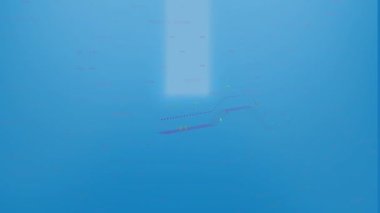 Mavi arka planda finansal veri işleme animasyonu. Küresel finans ve iş veri teknolojisi kavramı