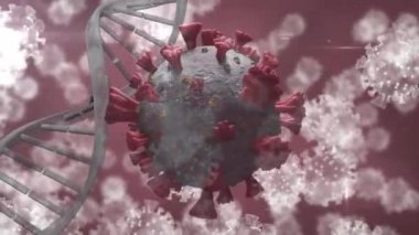 DNA ipliği üzerinde virüs hücrelerinin animasyonu. Dijital olarak oluşturulmuş küresel salgın ve dijital arayüz kavramı.