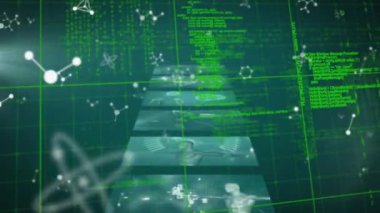 Ekranlar üzerinde bilimsel veri işleme animasyonu. Küresel bilim, araştırma ve veri işleme kavramı dijital olarak oluşturulmuş video.