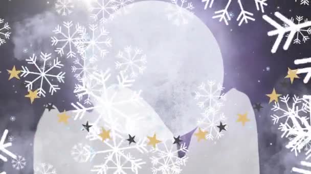 Animacja Świątecznych Dekoracji Gwiazdkowych Padającego Śniegu Boże Narodzenie Uroczystość Uroczystość — Wideo stockowe