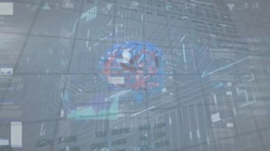 Beyin fırtınasının animasyonu, istatistik ve finansal veri işleme şebekesi üzerinde. Küresel iş, finans ve veri işleme kavramı dijital olarak oluşturulmuş video.