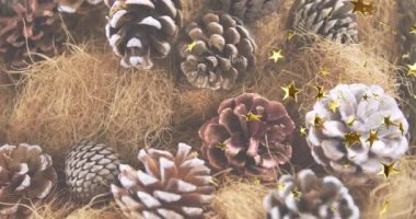 Bu video, çam kozalakları ve noel zamanı düzenlenmiş bir samandır. Noel kutlaması vektör illüstrasyonu ve sanat konsepti videoda soyut ekran arka plan kavramı dijital olarak üretilir.
