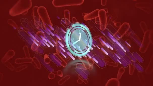 朱色の背景を持つ血管の上にネオン ティッキング クロックと紫色の光の軌跡のアニメーション 医学研究科学技術概念 — ストック動画