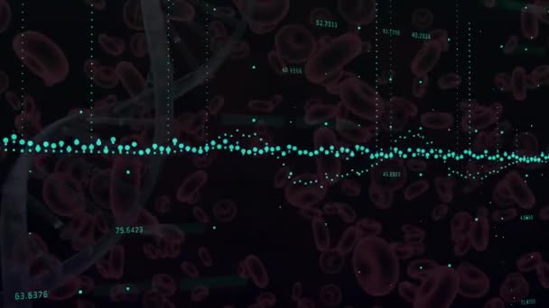 Animação Gráfico Com Números Sobre Hélice Dna Glóbulos Vermelhos Flutuantes — Vídeo de Stock