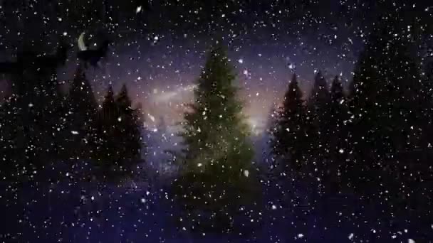 Animacja Santa Sanie Śnieg Spada Nad Lasem Zimowym Choinki Boże — Wideo stockowe