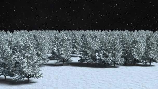 Animacja Śniegu Padającego Nad Oświetleniem Choinkami Zimowej Scenerii Boże Narodzenie — Wideo stockowe